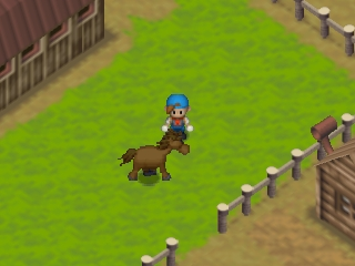 Harvest Moon 64 (USA) In game screenshot